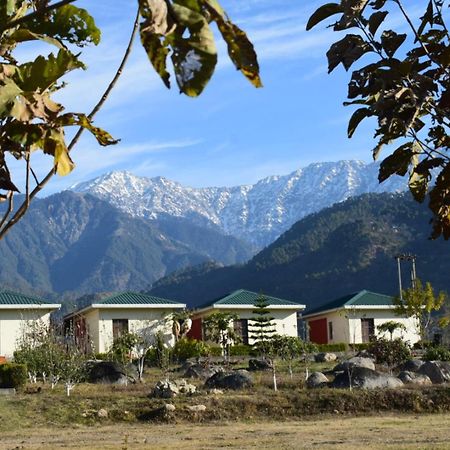 Dhauladhar View Village Resort دارامشالا المظهر الخارجي الصورة