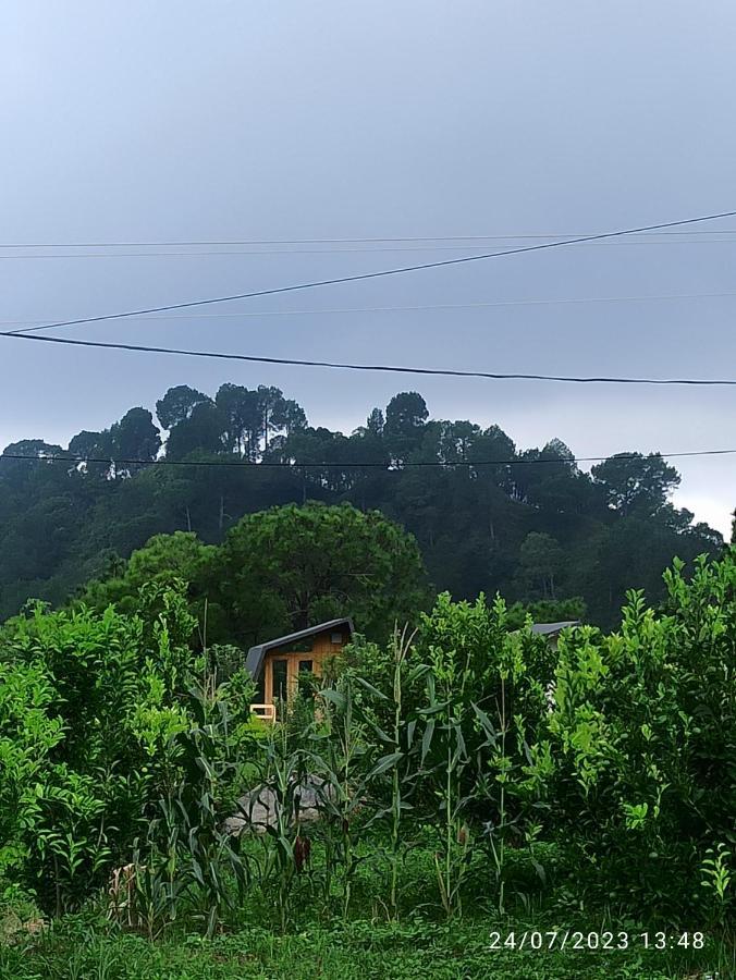 Dhauladhar View Village Resort دارامشالا المظهر الخارجي الصورة