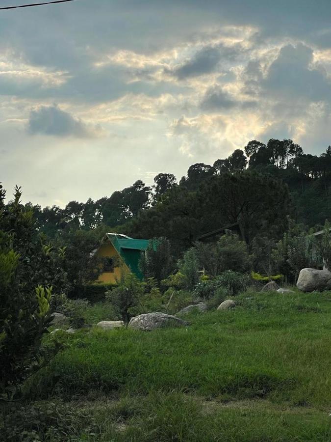 Dhauladhar View Village Resort دارامشالا المظهر الخارجي الصورة