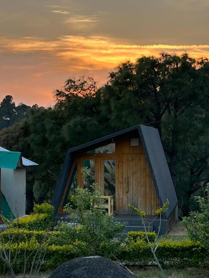 Dhauladhar View Village Resort دارامشالا المظهر الخارجي الصورة