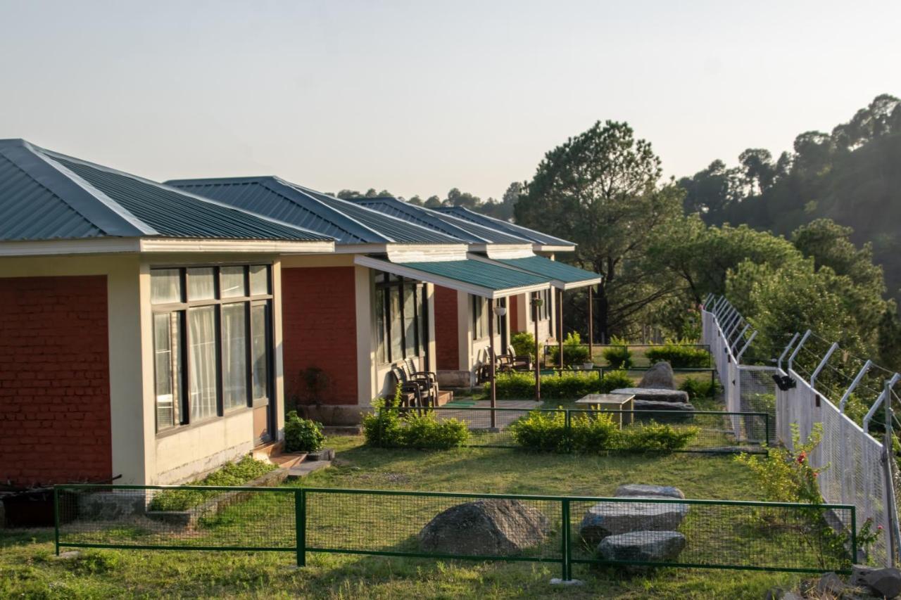 Dhauladhar View Village Resort دارامشالا المظهر الخارجي الصورة