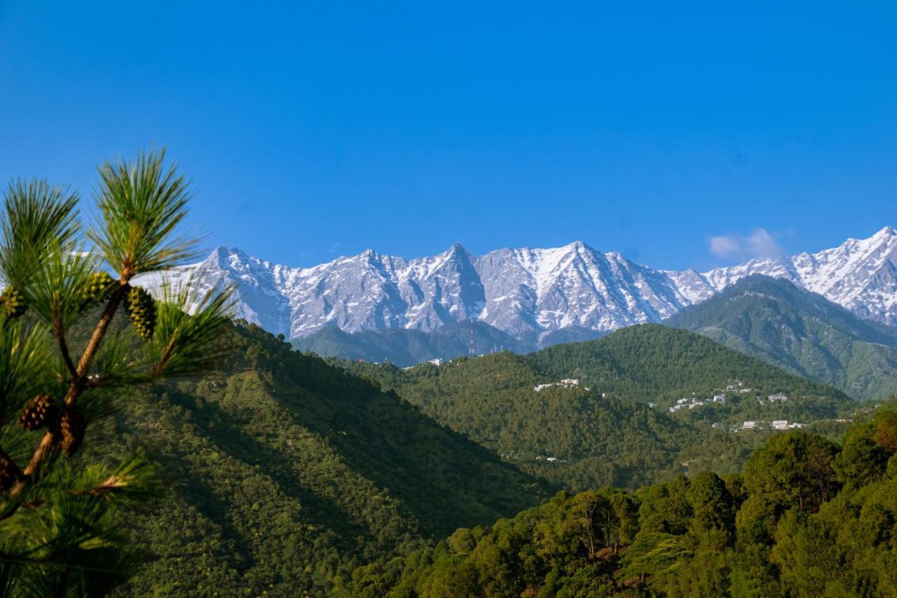 Dhauladhar View Village Resort دارامشالا المظهر الخارجي الصورة